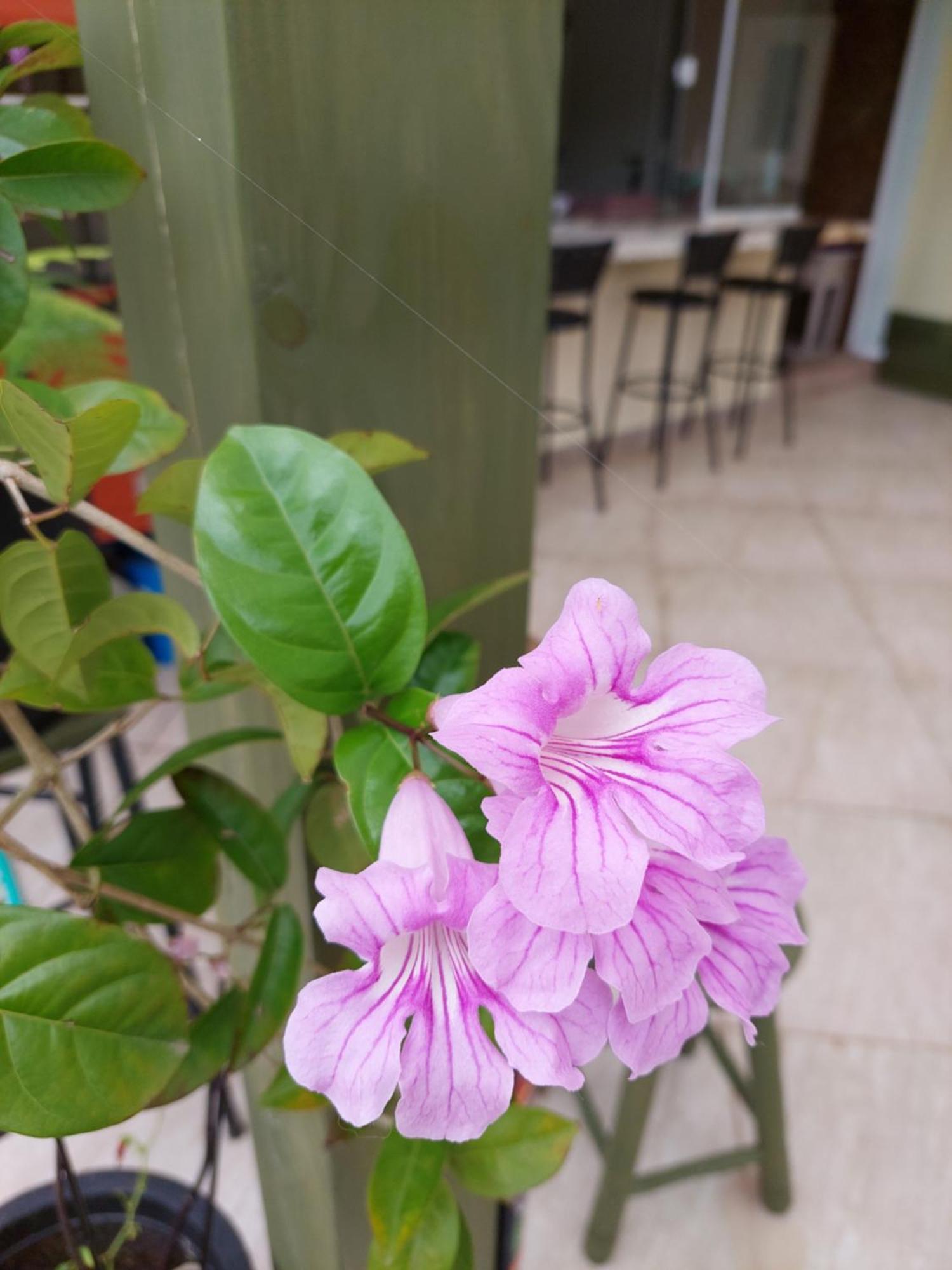 Jurere Cobertura 400M Do Mar Vista Linda Διαμέρισμα Florianópolis Δωμάτιο φωτογραφία